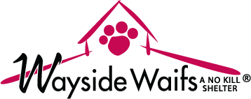 WAYSIDE-WAIFS